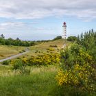 Leuchtturm Hiddensee