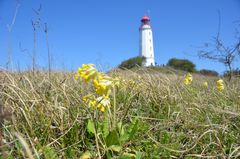 LEUCHTTURM HIDDENSEE 