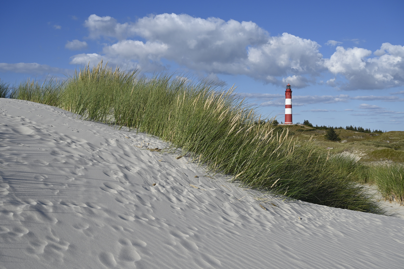 Leuchtturm hinter den Dünen