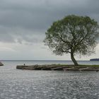 Leuchtturm HJO (SE) Süd-Hafenmole