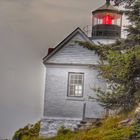 Leuchtturm im Acadia Nationalpark (Bass Harbor / Maine - USA, Juni 2013)