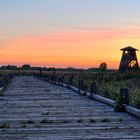 "Leuchtturm" im Moor