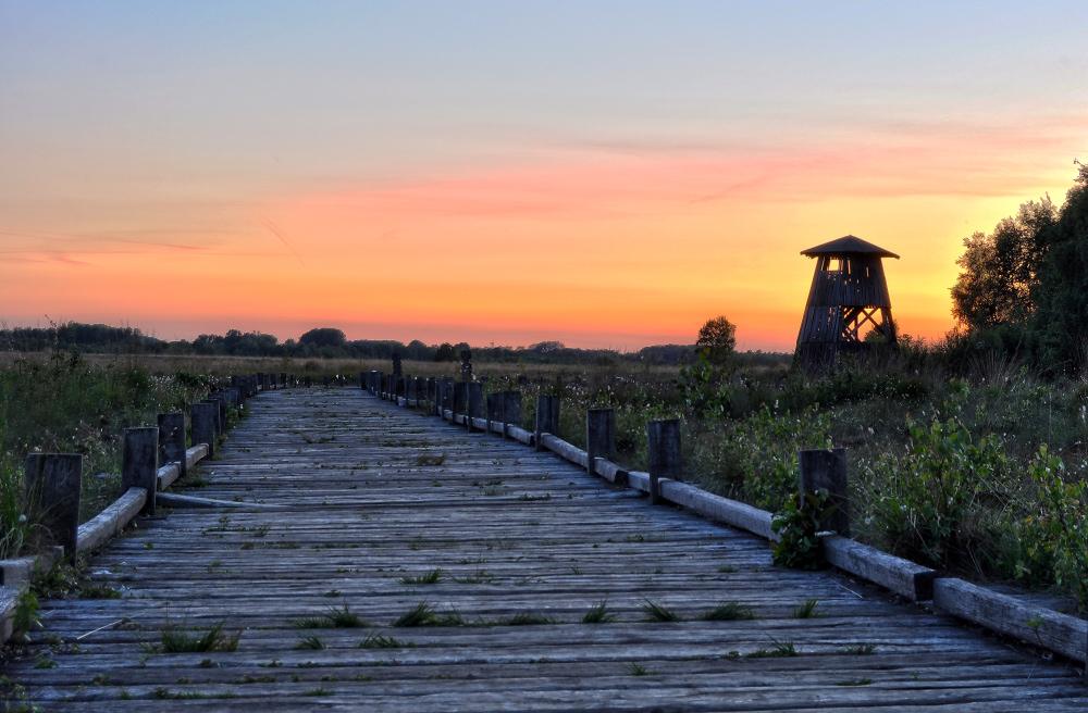 "Leuchtturm" im Moor