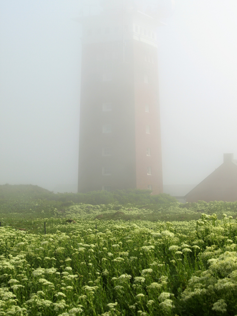 Leuchtturm im Nebel