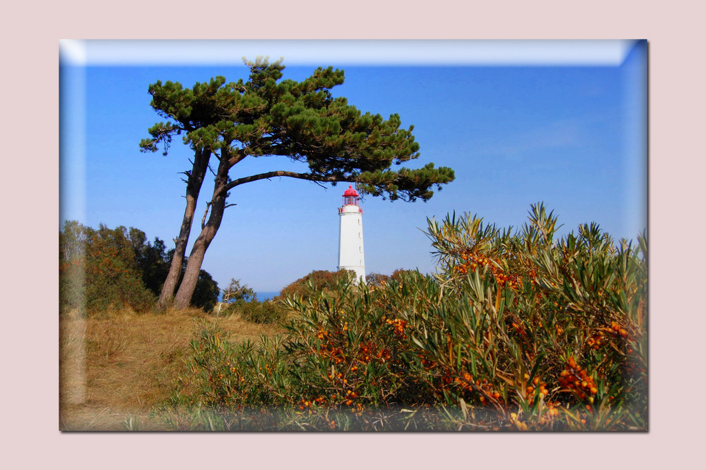 Leuchtturm im September Insel Hiddensee