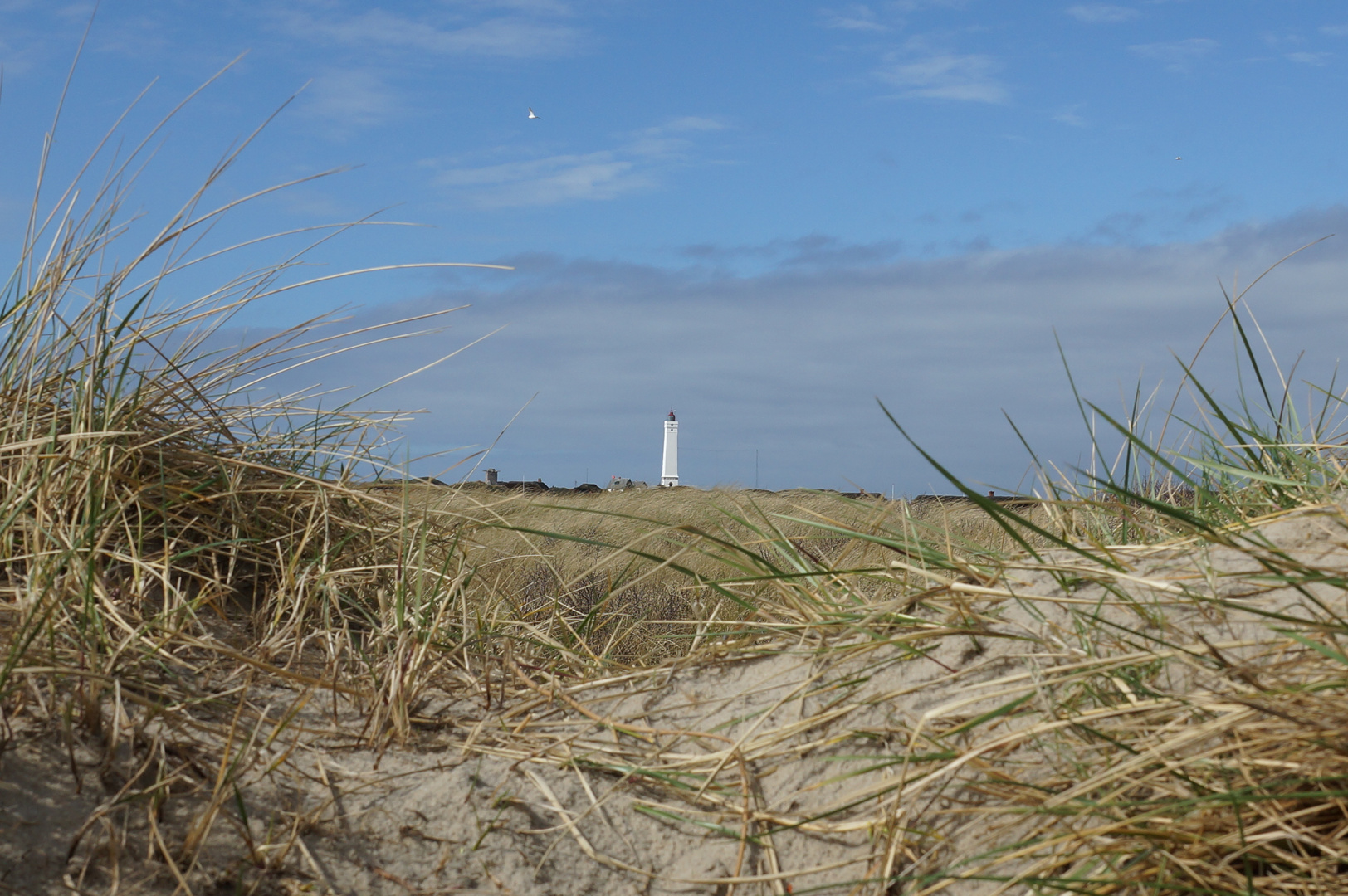 Leuchtturm in Blavand/Dänemark