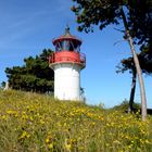 Leuchtturm in der Sommerwiese