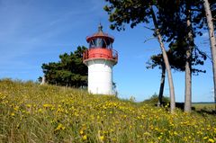 Leuchtturm in der Sommerwiese