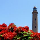 Leuchtturm in Maspalomas, Gran Canaria