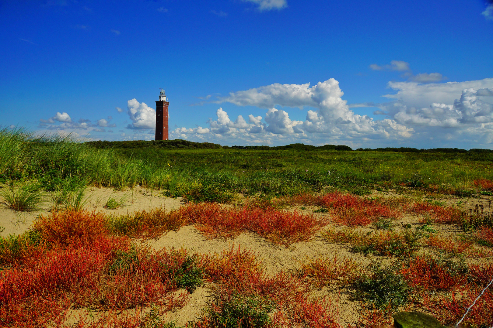 Leuchtturm in NL