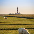 Leuchtturm in Westerhever