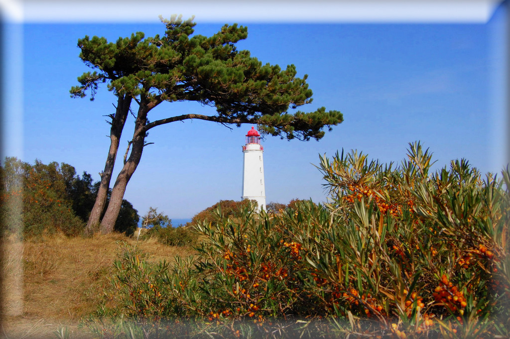 Leuchtturm Insel Hiddensee