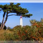 Leuchtturm Insel Hiddensee