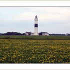 Leuchtturm - Kampen