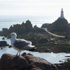 Leuchtturm mit Möwe // Insel Jersey