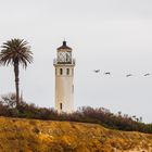 Leuchtturm mit Pelikanen