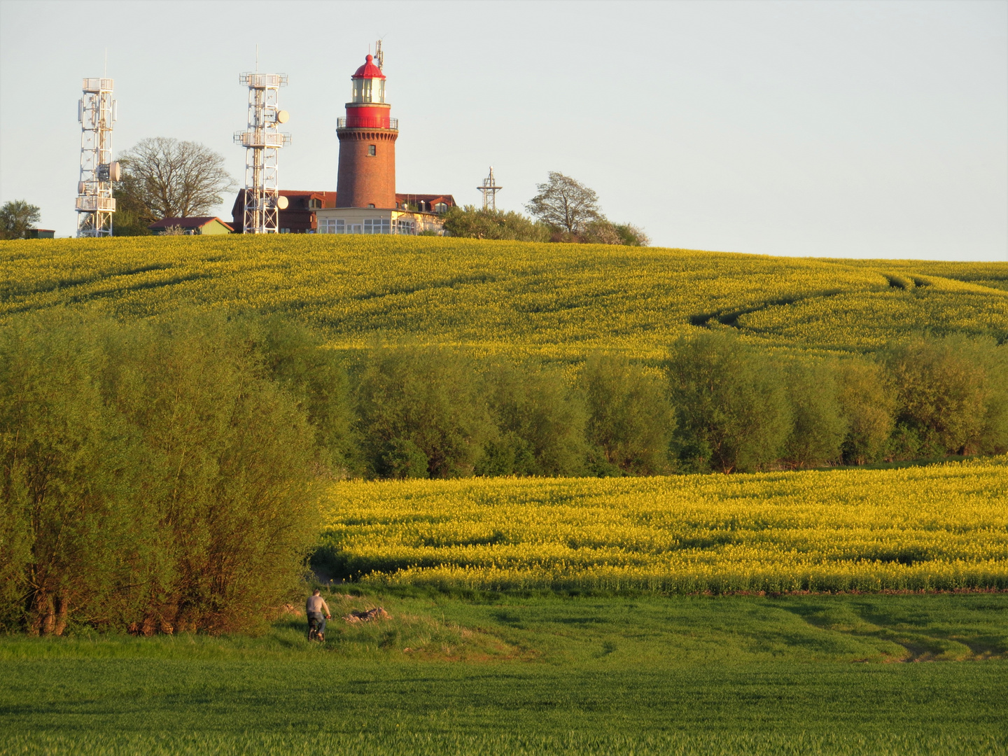 Leuchtturm mit Rapsfeld