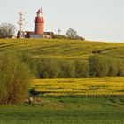 Leuchtturm mit Rapsfeld