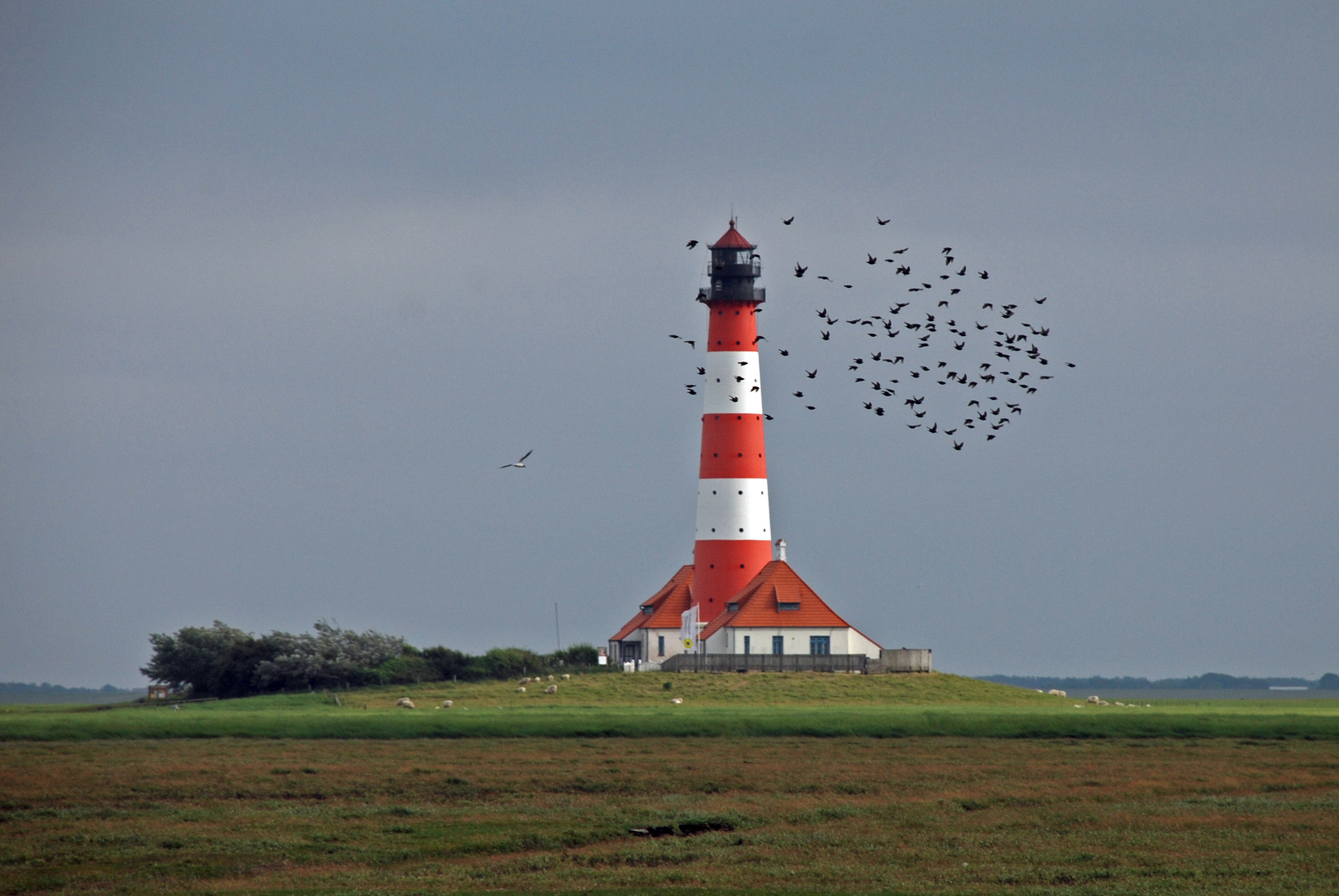 Leuchtturm mit Vogelschwarm