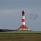 Leuchtturm mit Vogelschwarm