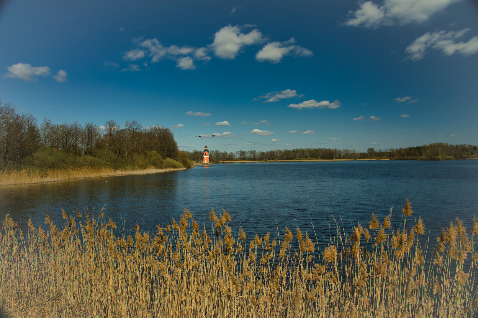 Leuchtturm Moritzburg