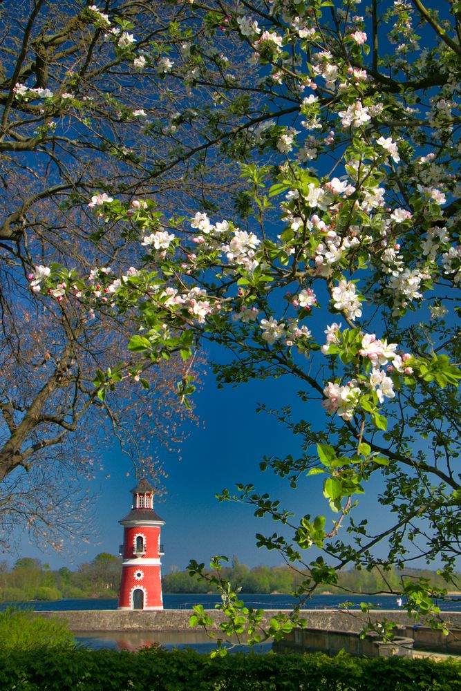 Leuchtturm Moritzburg