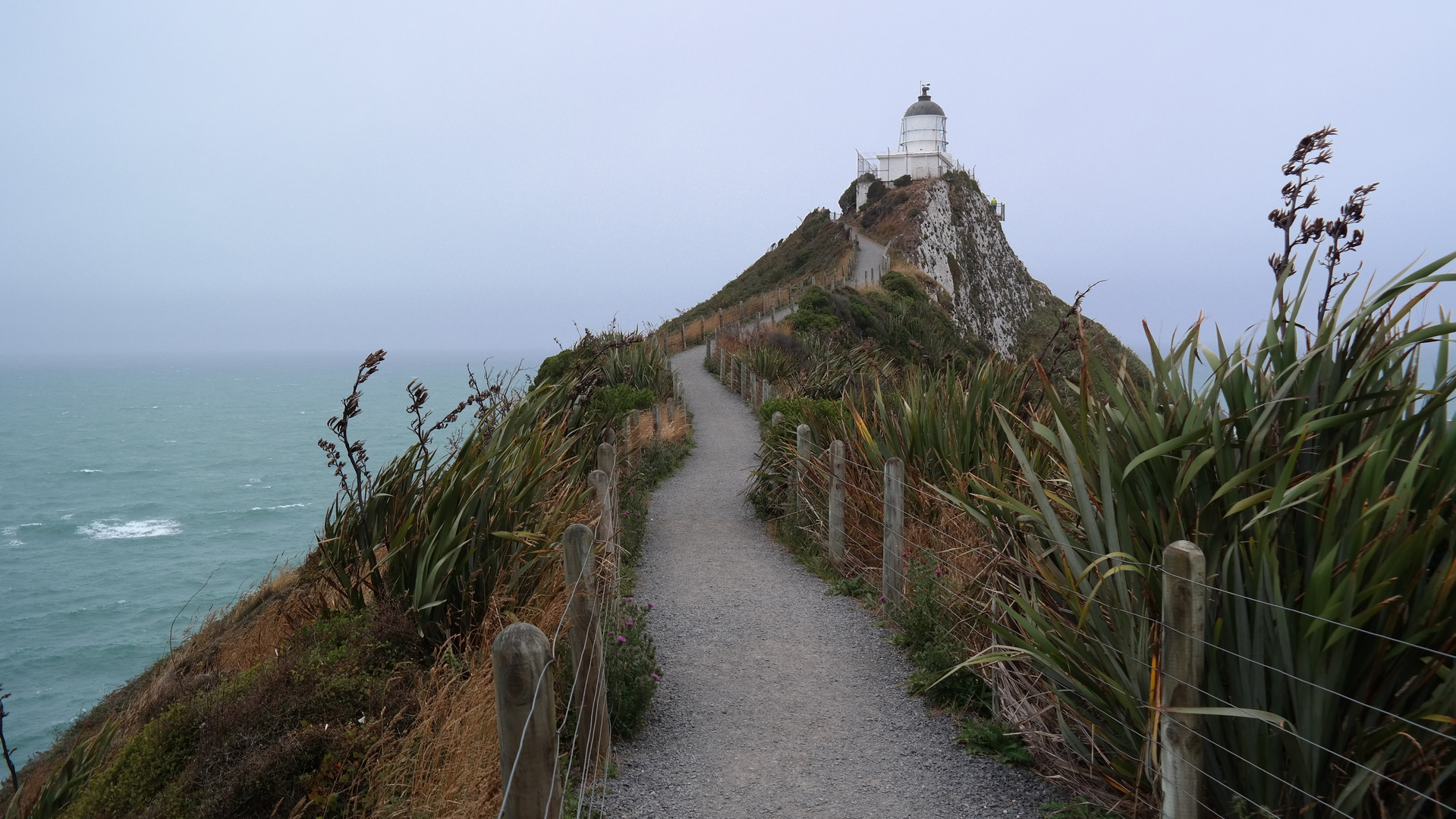 Leuchtturm - Nuggetpoint - Neuseeland