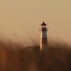 Leuchtturm Ost in der Abendsonne