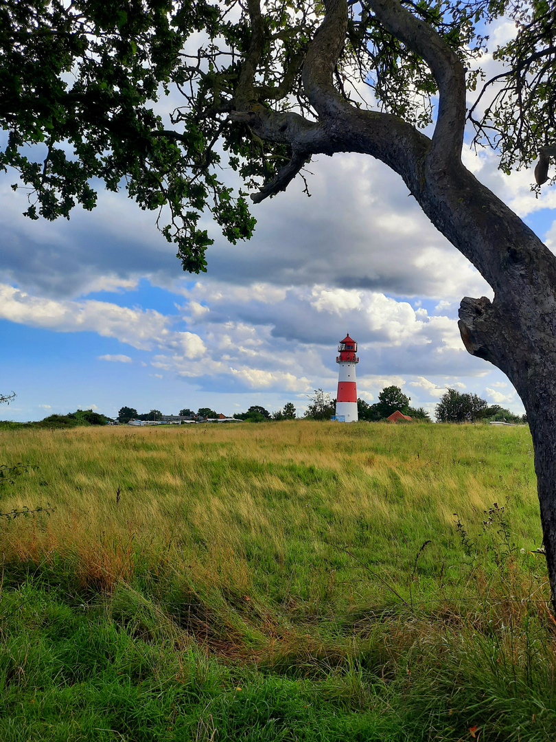 Leuchtturm Ostsee Falshöft