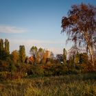 Leuchtturm Pelzerhaken im Herbst