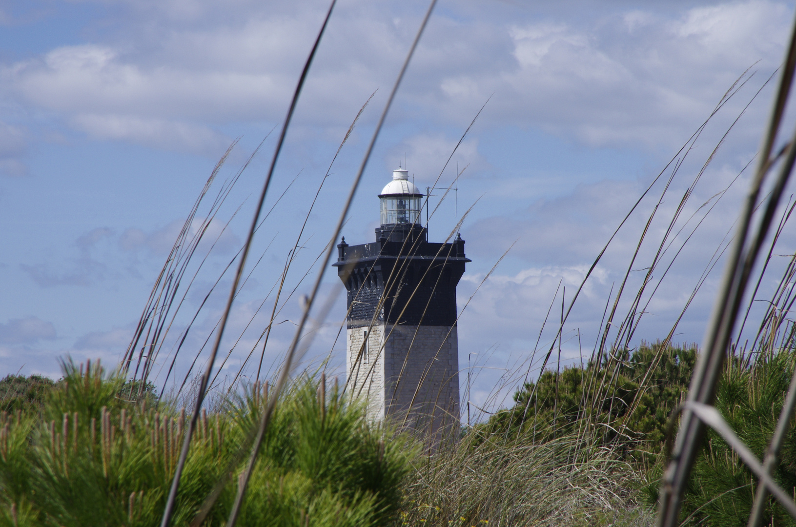 Leuchtturm -Phare de l ´ Espiguette