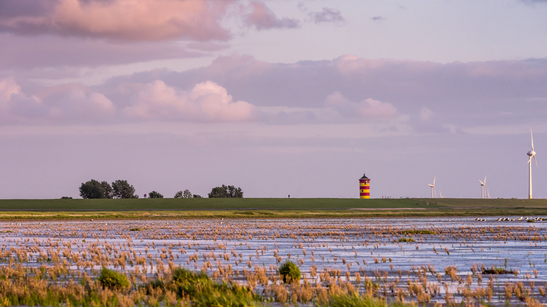 Leuchtturm Pilsum