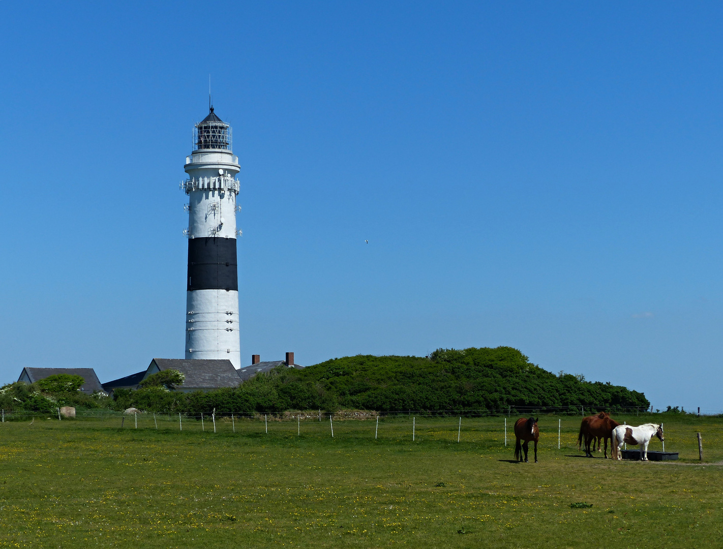 Leuchtturm Rotes Kliff