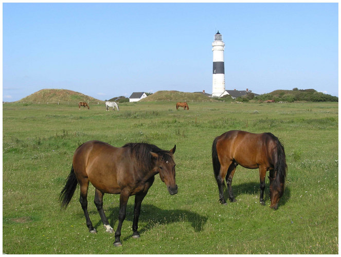 Leuchtturm Rotes Kliff