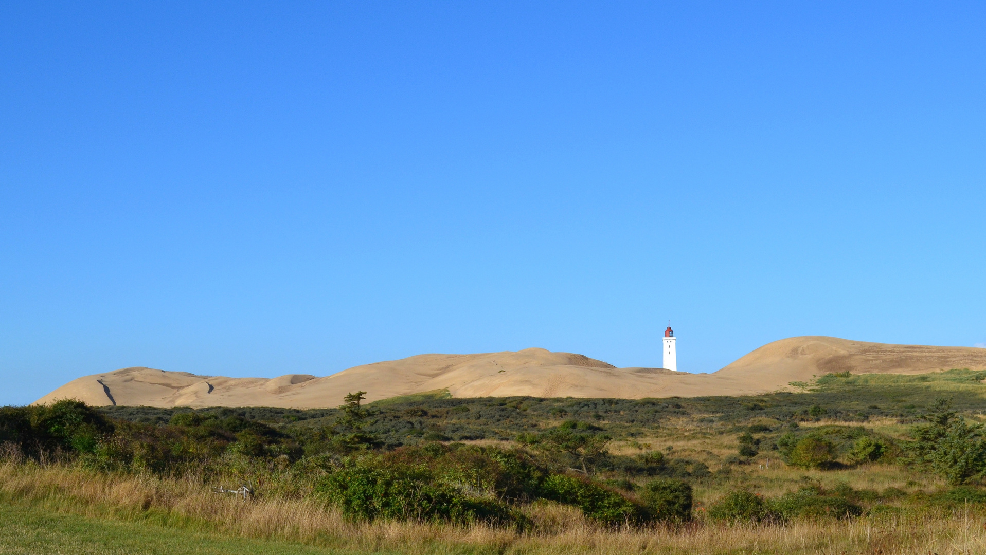 Leuchtturm Rubjerg Knude - die Düne in der Totalen.