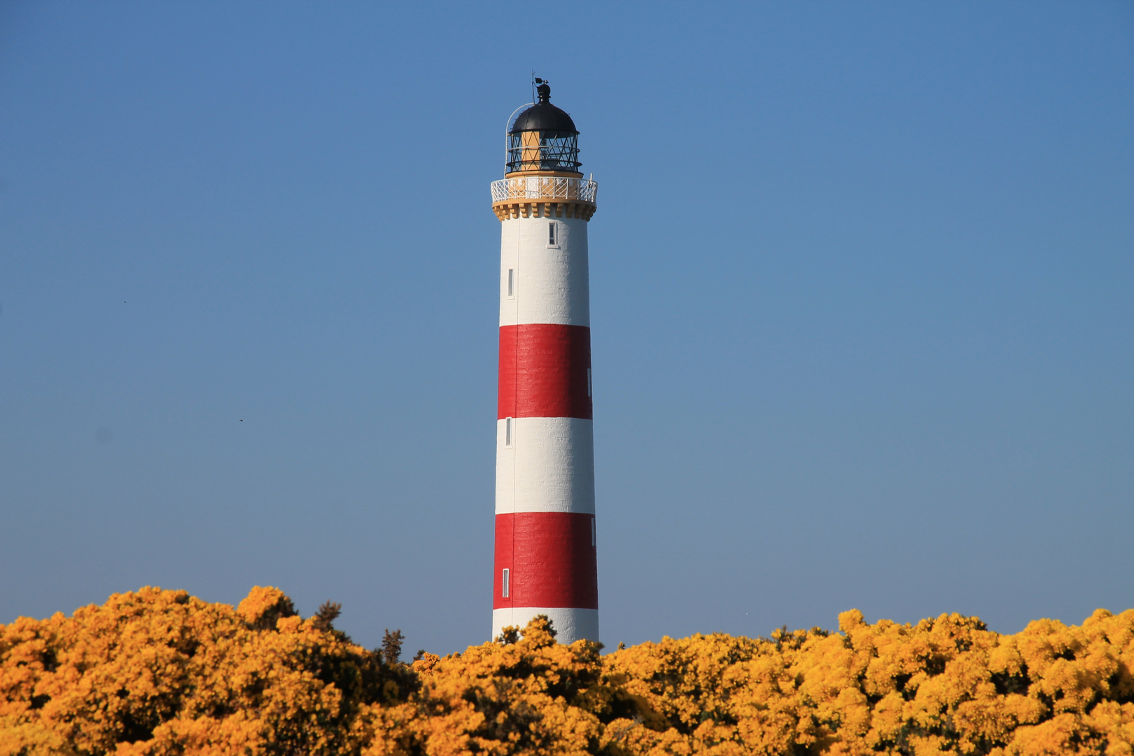 Leuchtturm Tarbat Ness in Schottland