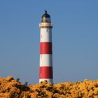 Leuchtturm Tarbat Ness in Schottland