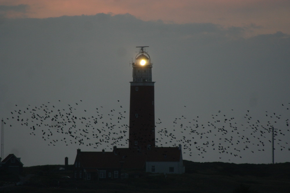 Leuchtturm Texel mit Abendstimmung