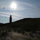 Leuchtturm Texel mit Seemöwen.