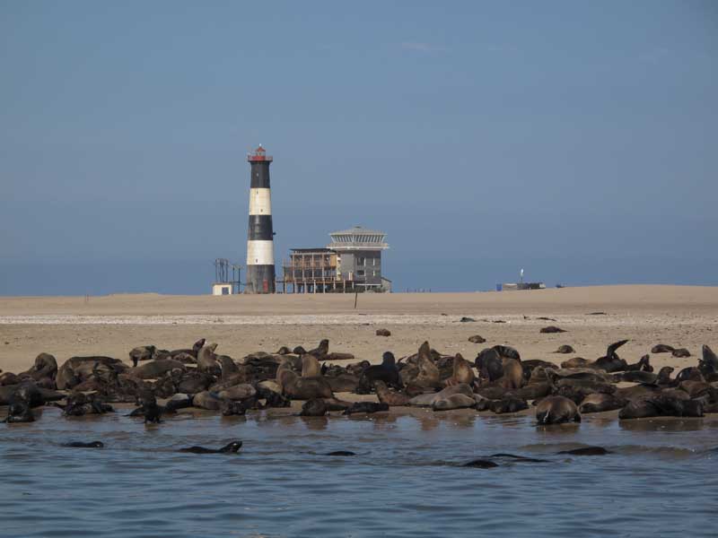 Leuchtturm und Robbenkolonie bei Walvis Bay Namibia