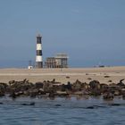 Leuchtturm und Robbenkolonie bei Walvis Bay Namibia