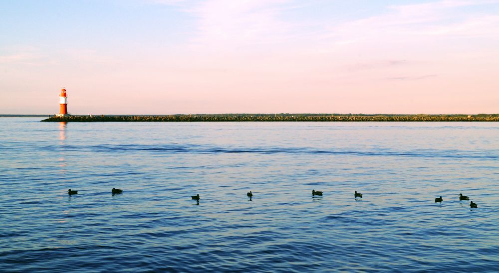 Leuchtturm und Vögelchen auf der Ostsee