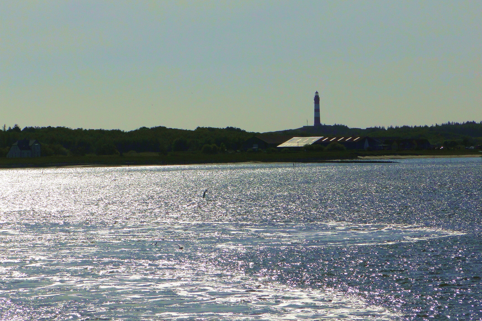 Leuchtturm von Amrum im Abendlicht