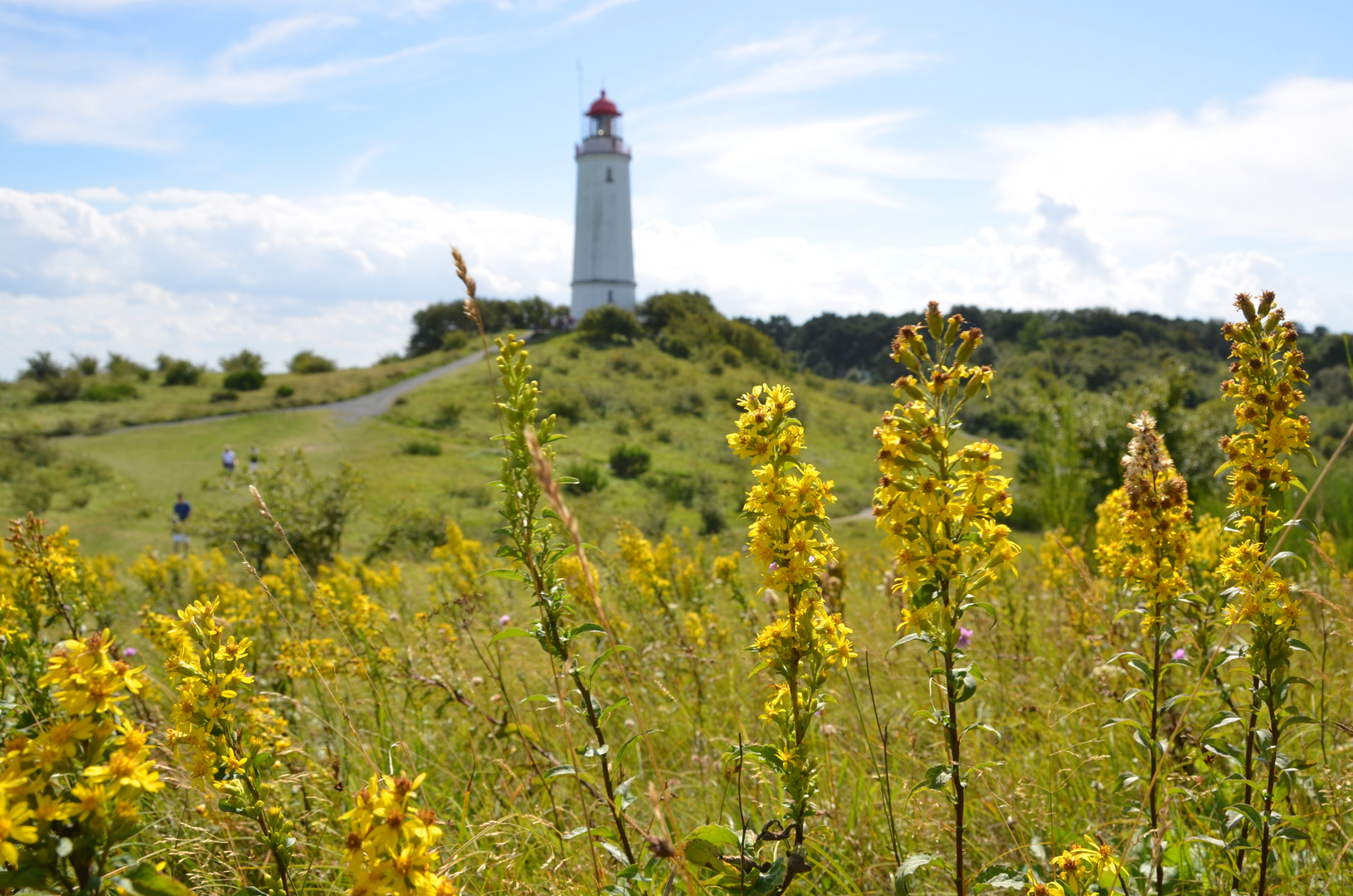 Leuchtturm von der Nordseite 