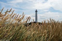 Leuchtturm von Hvide Sande (Dänemark)