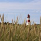 Leuchtturm von List auf Sylt