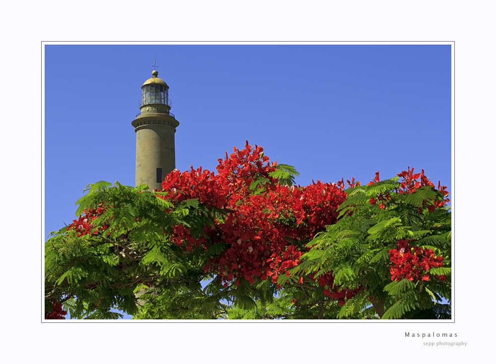 Leuchtturm von Maspalomas