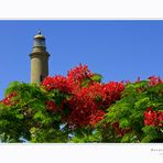 Leuchtturm von Maspalomas