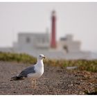 Leuchtturm von Peniche