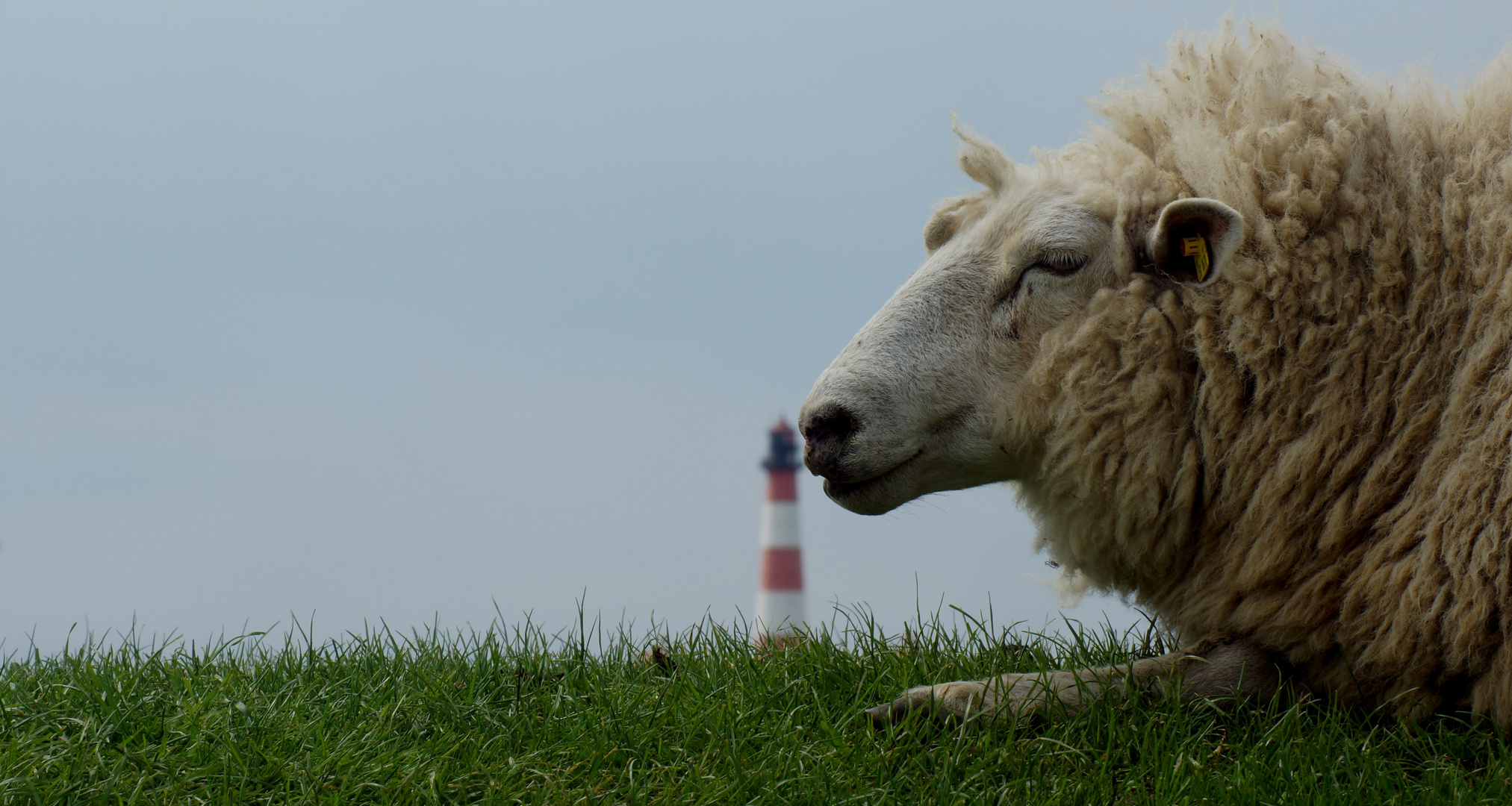 Leuchtturm von Westerhever